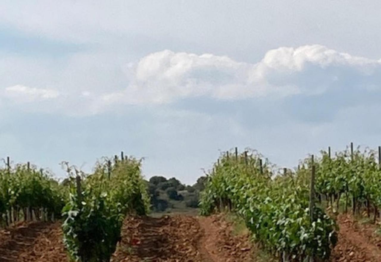 Apartamento Turistico Cerca Aranda De Duero La Ren Lecres Vadocondes 외부 사진