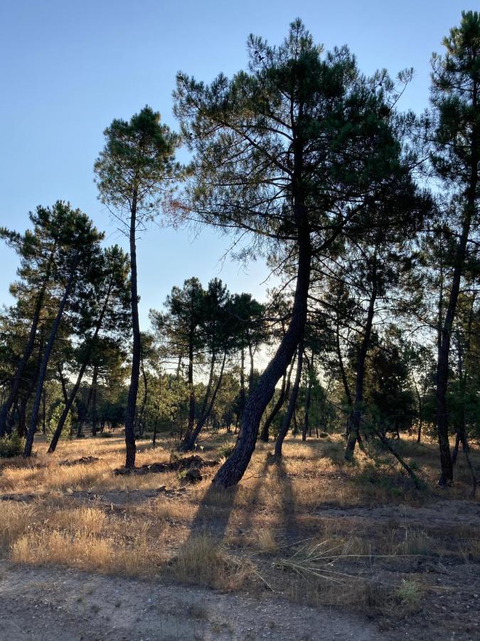 Apartamento Turistico Cerca Aranda De Duero La Ren Lecres Vadocondes 외부 사진